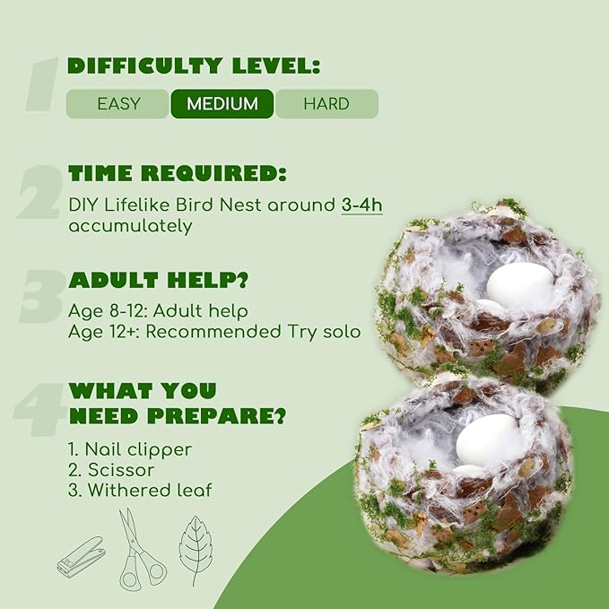 CHARTEKS Bird Nest Craft Kit with LED String Lights - DIY Nature Arts and Crafts STEM Project for Kids & Adults, Creative Home Decor Gift for Boys Girls Ages 8-12