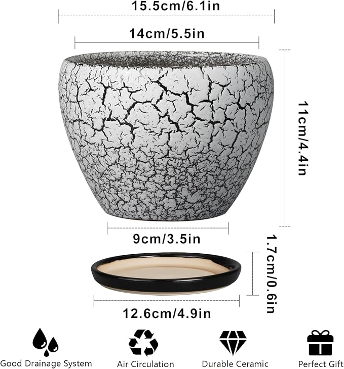Ceramicfor Ceramic Planter Pot - 6 Inch Plant Pot with Drainage Hole and Saucer, Succulent Pot Glaze Round for Indoor Outdoor Plants, White and Black