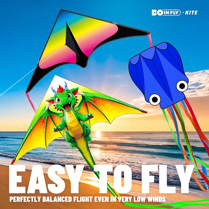 Kite for Ages 8-12, Easy to Fly and Assemble Rocket Kites for Beginner, Single Line String Professional Kites for Beach and Outdoor Activity