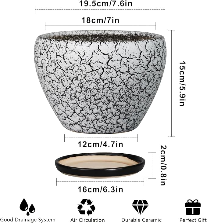 Ceramicfor Ceramic Plant Pot 8 Inch - Ceramic Planter for Indoor Plants, Round Flower Pot with Drainage Hole and Saucer, Glaze White and Black