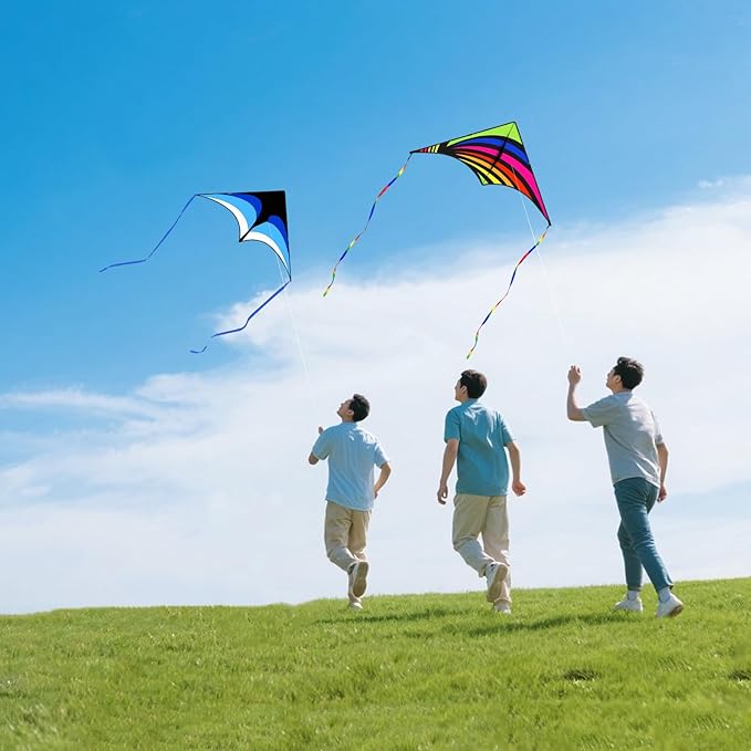 Mint's Colorful Life Delta Kite for Kids & Adults, Extremely Easy to Fly Kite for Beach Trip, Best Kites for Beginners, 300ft String Handle Included