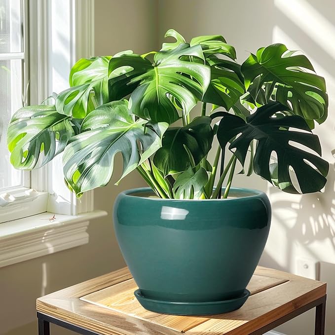 Ceramicfor Ceramic Planter for Indoor Plants 10 Inch - Ceramic Plant Pot with Drainage Hole and Saucer, Glaze Round Modern Decorative Planter, Plant Lover Gifts, Home Room Office Decor, Green