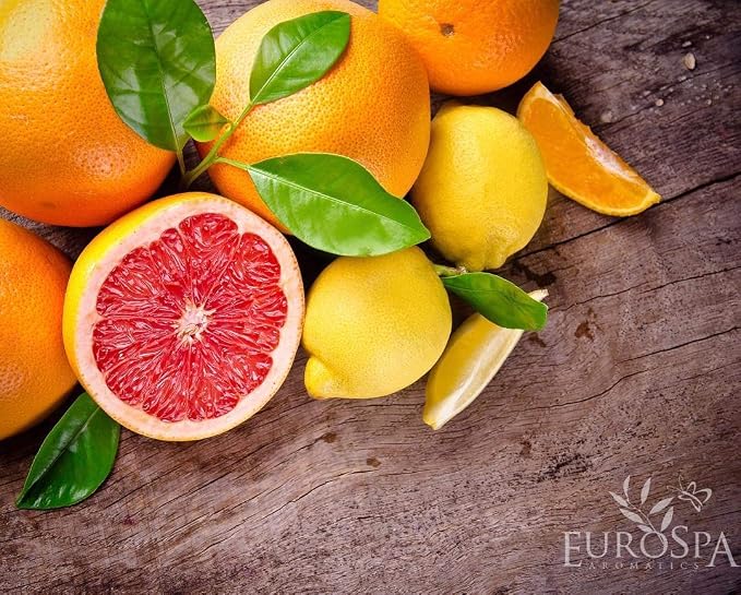 EuroSpa Aromatics Pure Eucalyptus Oil ShowerMist and Steam Room Spray, All-Natural Premium Aromatherapy Essential Oils - Citrus Infused, 8oz