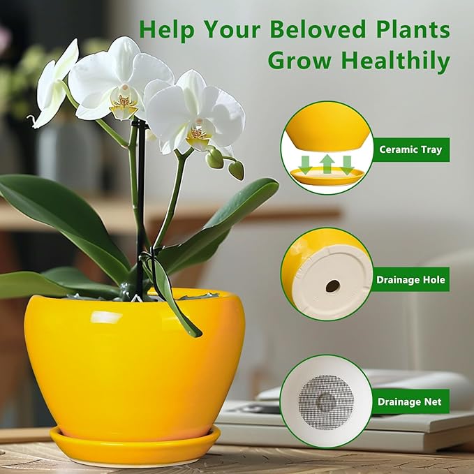 Ceramicfor Ceramic Pot for Plants - 6 Inch Plant Pot Glaze Modern Decorative Round Planter with Drainage Hole and Saucer for Home Patio Room Office House Decor, Yellow