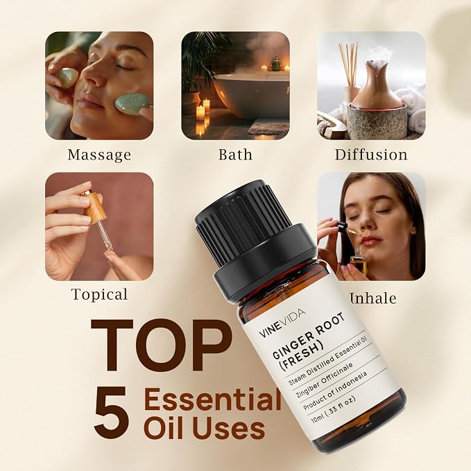 VINEVIDA Fresh Ginger Root Essential Oil 10 mL - Undiluted Candle Scent DIY Scents for Candlemaking Soap Making
