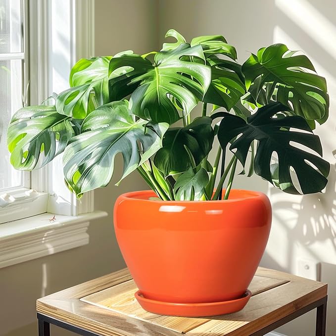 Ceramicfor Ceramic Pot for Plants - 10 Inch Plant Pot with Drainage Hole and Saucer, Modern Round Glaze Planter for Indoor Outdoor Plants, Plant Lover Gifts, Home Garden Office Decor, Orange