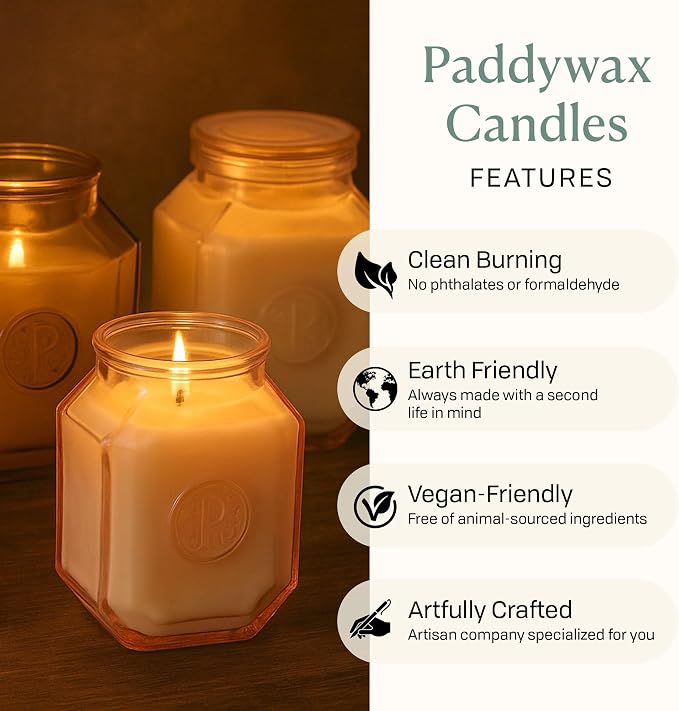 Paddywax Botanica Scented Candle with Lid in Reusable Embossed Glass Jar, Clean-Burn Soy Candle with Approx. 56 Hour Burn Time, Leather & Smoke, 8 oz