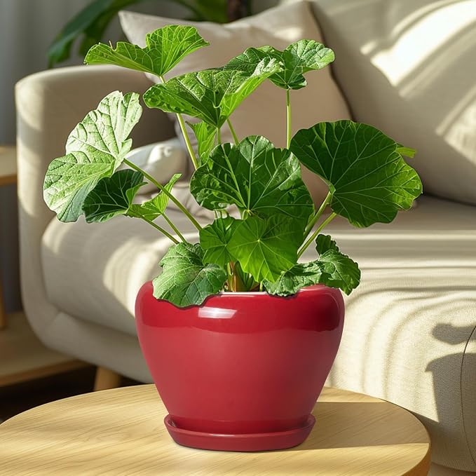 Ceramicfor Ceramic Planter for Indoor Plants 8 Inch - Ceramic Plant Pot with Drainage Hole and Saucer, Glaze Round Decorative Modern Flower Pot, Housewarming Gift, Home Room Office Decor, Red