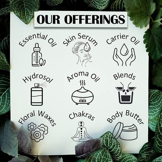 Greenwood Essential Olive Oil (Olea europaea) | Cold Pressed | Natural | Undiluted | for Diluting Essential Oils | for Hair, Skin & Massage | Men & Women | 50ml (1.69 oz)