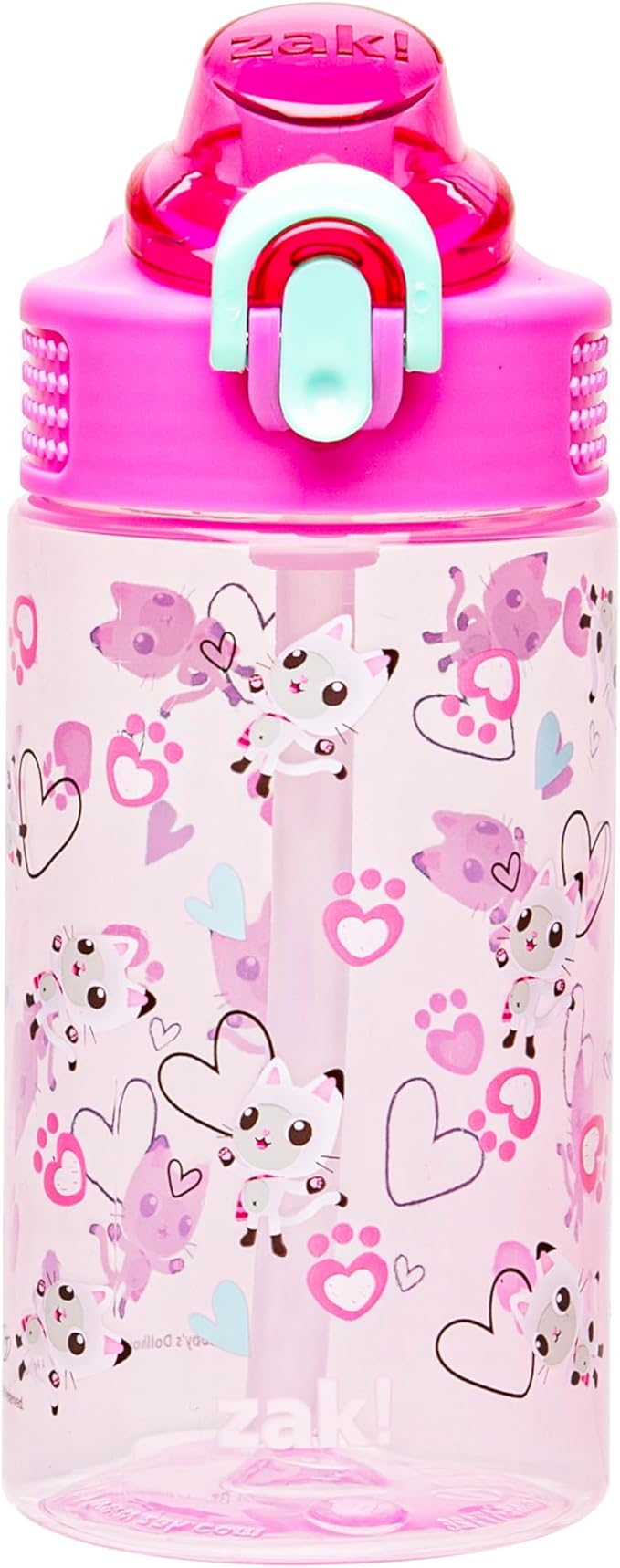 Zak Designs DreamWorks Gabby's Dollhouse Sage Water Bottle For School or Travel, 16oz Durable Plastic Water Bottle With Straw, Handle, and Leak-Proof, Pop-Up Spout Cover (Pandy Paws)