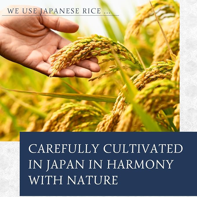 Dried Rice Koji – Made in Japan | For Shio Koji, Miso, Soy Sauce, Amazake | Vegan, Gluten-Free, No Additives (800g)