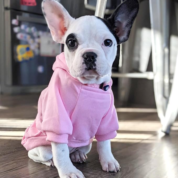 Jecikelon Winter Dog Hoodie Sweatshirts with Pockets Warm Dog Clothes for Small Dogs Chihuahua Coat Clothing Puppy Cat Custume (Pink, Medium)