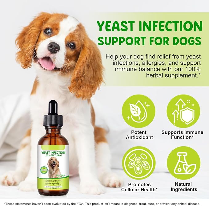 Natural Yeast Treatment for Dogs (2 Pack), Yeast Infection Treatment for Dogs, Supports Healthy Itch Relief, Dog Allergy Relief, Alleviates Itching, Improves Coat & Skin, Dog Herbal Supplement