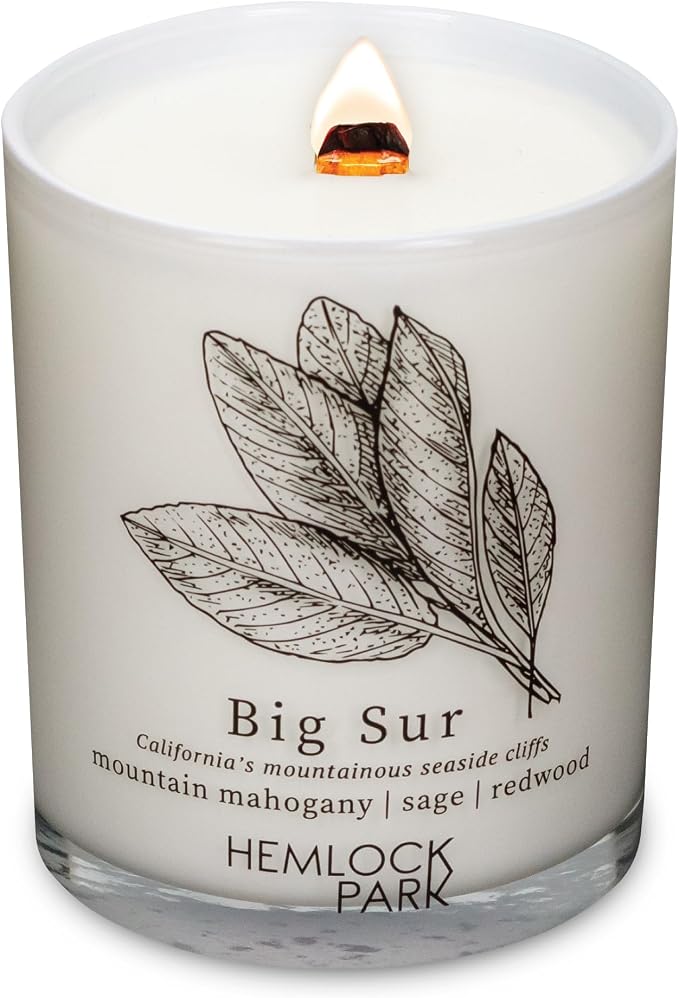 Hemlock Park Big Sur Postcards Scented Candle | Crackling Wood Wick, Botanical Fragrance & Coconut Apricot Wax | Up to 50 Hour Burn Time | 7.2 oz | Made in USA