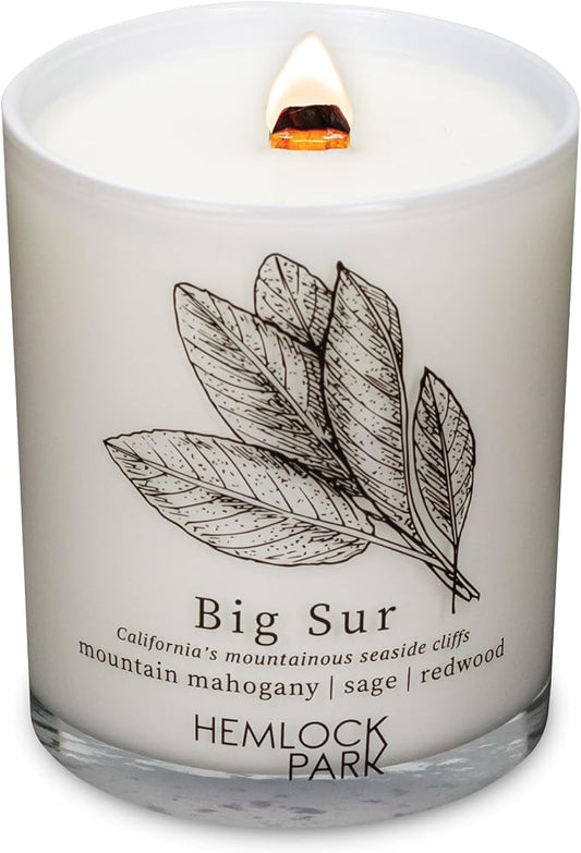 Hemlock Park Big Sur Postcards Scented Candle | Crackling Wood Wick, Botanical Fragrance & Coconut Apricot Wax | Up to 50 Hour Burn Time | 7.2 oz | Made in USA