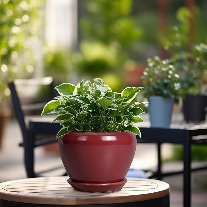Ceramicfor Ceramic Pot for Plants - 6 Inch Plant Pot Indoor with Drainage Hole and Saucer Succulent Outdoor Planter Round Flower Pot for House Patio Decor Red