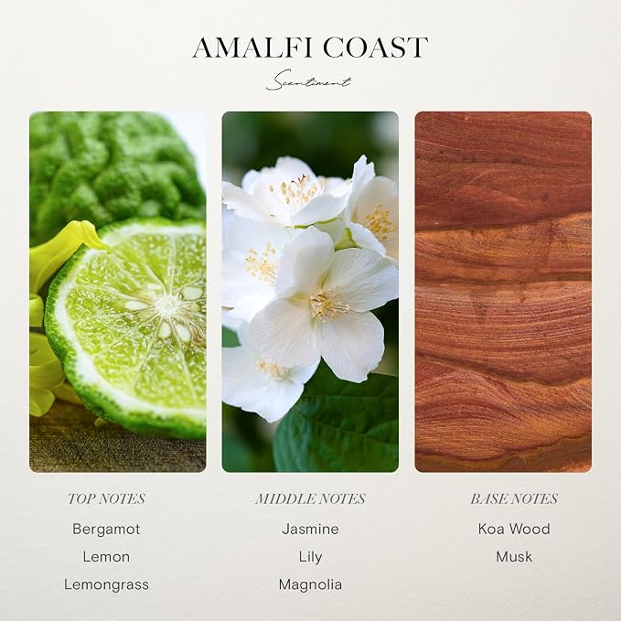 Scentiment Amalfi Coast Diffuser Oil - Premium Hotel Scent with Notes of Citrus, Lemongrass & Jasmine Home Scent, Hotel Fragrance Oil Diffuser Refill - 16.91 fl oz (500 mL)