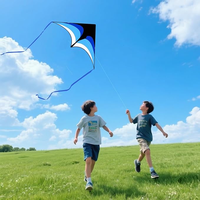 Kites for Kids and Adults, Easy to Fly for Beach, Single Line Kite Set for Beginners