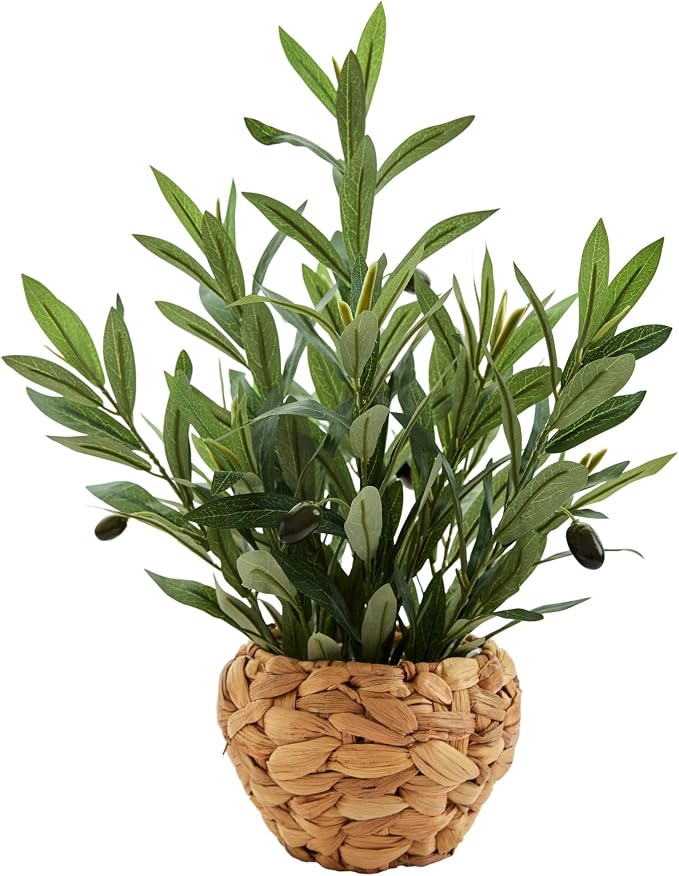 AlphaAcc Fake Potted Plant Small Olive Water Hyacinth Mediterranean Decor | 17.7" Realistic artificial olive branches natural hyacinth boho mediterranean rustic style ideal office desk shelf home decor