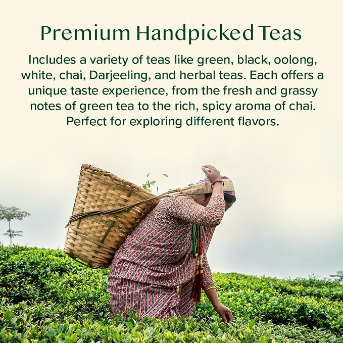 VAHDAM World Top 20 Favourites Tea Sampler Set | Loose Leaf Tea (100+ Cups) | Tea Variety Pack with Green, Herbal, Black & Chai Brew | Vacuum Sealed For Freshness | Brew Hot & Cold