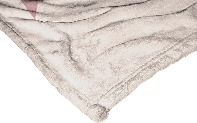Northwest Disney 100 Silk Touch Throw Blanket, 50" x 60", Celebrate Wonder