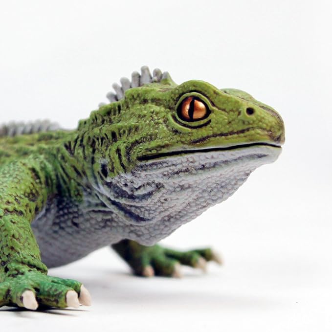 Safari Ltd. Tuatara Figurine - Realistic 7" Reptile Figure - Fun Educational Toy for Boys, Girls, and Kids Ages 3+