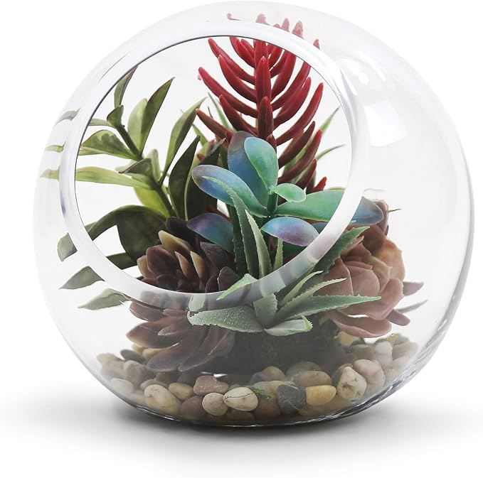 WGV Slant Cut Bowl Glass Vase Bulk, Width 7.5", Height 7.5", Clear Round Globe Planter Terrarium Orb, Candy Dish, Fruit Jar, Floral Container for Home Office Decor, 6 Pieces