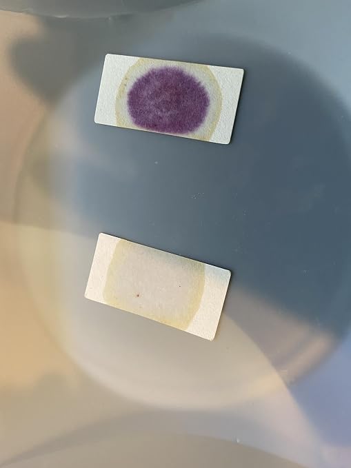 Semen Residue Detection Test Kit with Positive and Negative Controls, Crime Scenes, Infidelity, Parental Control, & Forensic Use