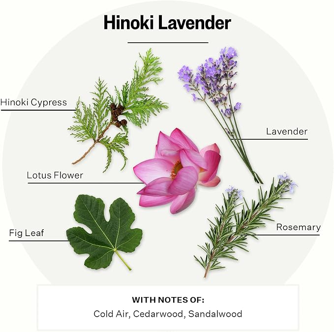 Apotheke Signature Scented Candles for Home, Hinoki Lavender - 10.5 oz - Soy Wax, Non Toxic, Large Jar White - Luxury Candle Gifts for Women & Men - Hinoki Cypress, Lavender, and Lotus Flower