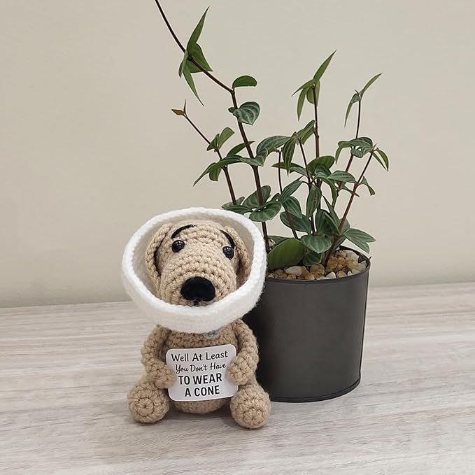 Well at Least You Don’t Have to Wear a Cone – Funny and Thoughtful Crochet Dog Gift – 4.5" Handmade Plush for Surgery Recovery, Vasectomy Humor, or Quirky Retirement Gift
