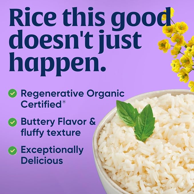 Lundberg Family Farms Organic Jasmine Rice,California White,32 Ounce,(Pack of 3)