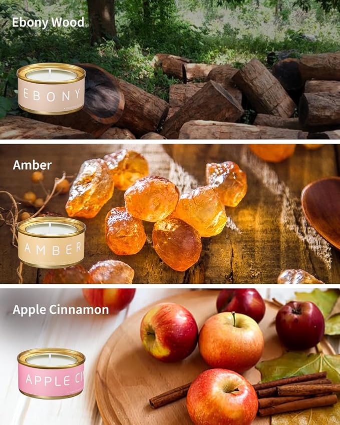 Scented Candles Gift Set, Natural Beeswax Aromatherapy Candles for Mother's Day, Birthday, Christmas, Holiday Gift Ideas for Women, Small Portable Tin Travel, 6-Pack Variety Luxury Home Scents