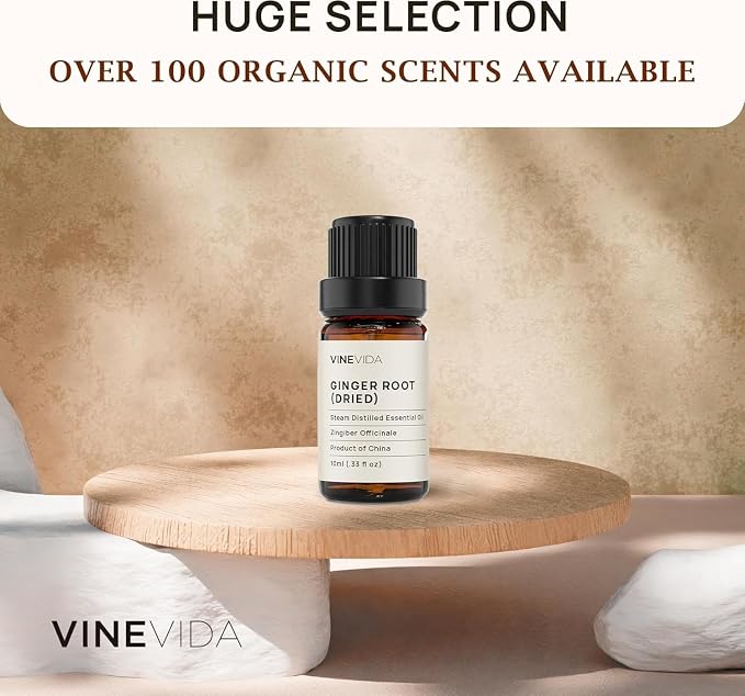 VINEVIDA Dried Ginger Root Essential Oil 10 mL - Undiluted Candle Scent DIY Scents for Candlemaking Soap Making