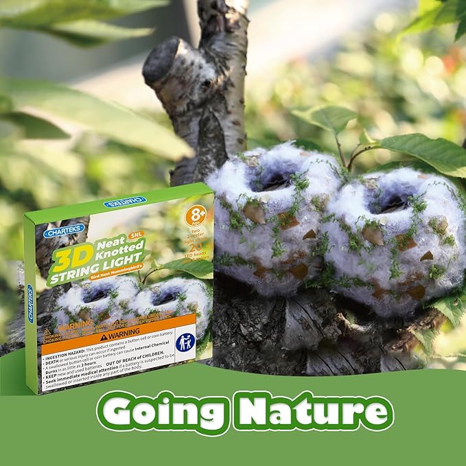 CHARTEKS Bird Nest Craft Kit with LED String Lights - DIY Nature Arts and Crafts STEM Project for Kids & Adults, Creative Home Decor Gift for Boys Girls Ages 8-12