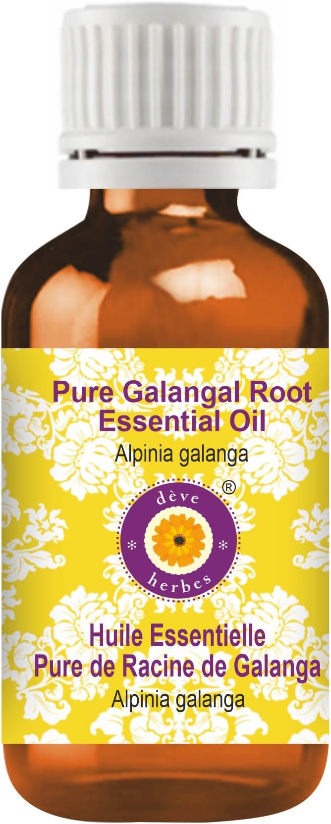 dève herbes Galangal Root Essential Oil (Alpinia Galanga) Pure | Non-Sticky | Non-Greasy | Lightweight | Men & Women | All Skin Types | Steam Distilled 5ml (0.16 oz)
