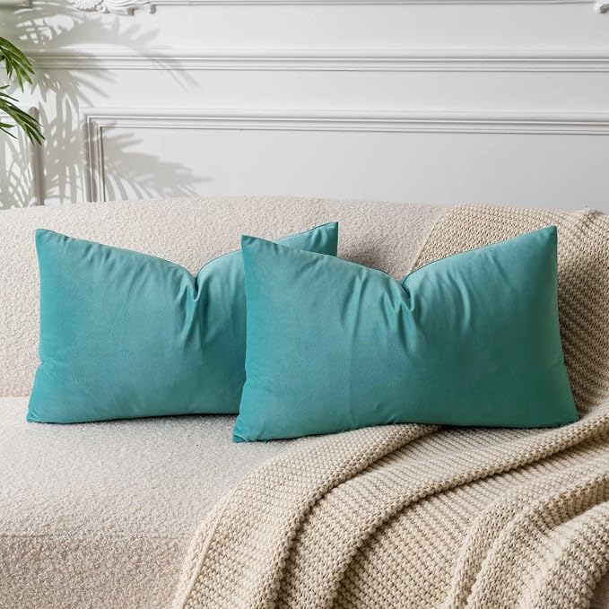 16x24 Velvet Throw Pillow Covers Set of 2 for Couch Bed Sofa,Teal Green | Decorative Soft Pillow Covers with Invisible Zipper for Couch Sofa Bed Living Room Bedroom Home Decor