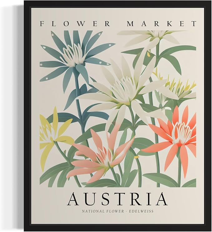 Austria, Edelweiss Art Print Poster, Flower Market Wall Art, Floral Artwork Decor for Bedroom, Kitchen, Bathroom, Livingroom Decoration 52 (Austria, Edelweiss, 20" L x 16" W, Black Frame)