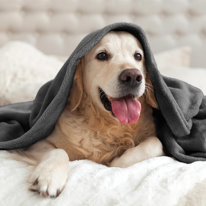 BEDELITE Fleece Blanket Soft Plush Throw for Couch Charcoal Grey 50"x60" | Ultra Soft Fleece, Plush Microfiber, Lightweight Warmth, All Season Comfort, Fade Resistant, Machine Washable, Couch Sofa Bed