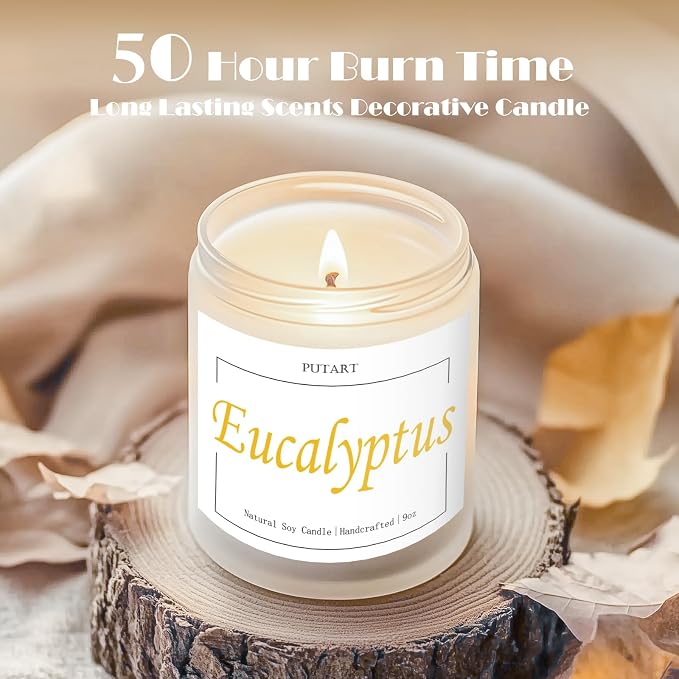 Eucalyptus Mint Highly Scented Candles, Natural Soy Aromatherapy Organic Non Toxic Candles with Long Lasting Burn, Luxury Essential Fragrance Jar Candle Gift for Birthday, Housewarming (9oz)