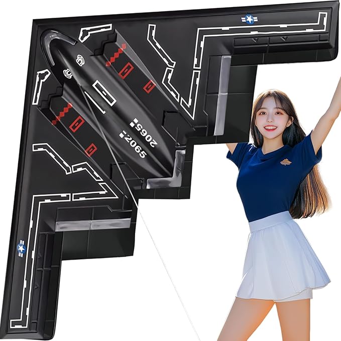 Hengda Kite Airplane Kite,for Kids and Adults,Plane Kite Easy to Fly,Excellent Fabric and Structure Design,The Pictures are Beautiful in high Definition,Suitable for Beginners Black