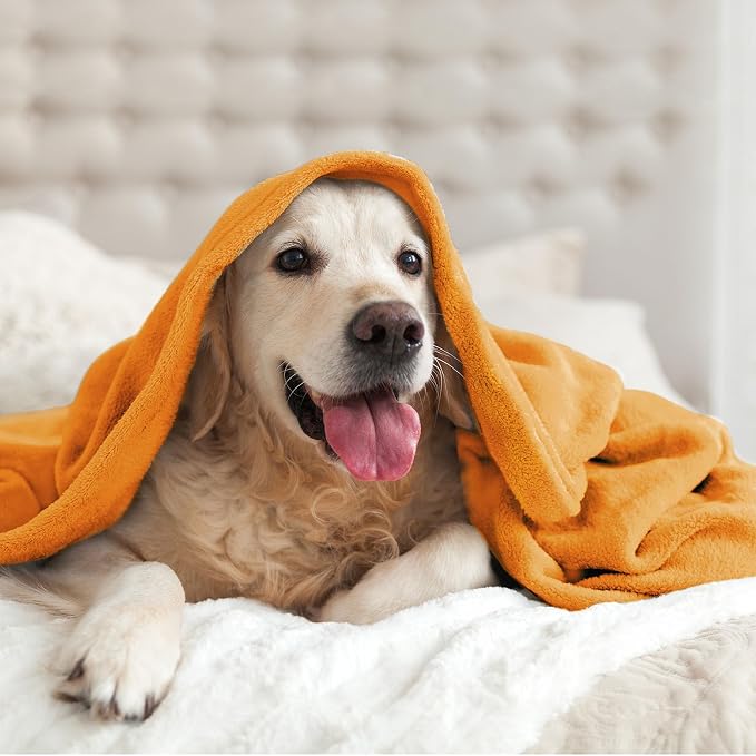 BEDELITE Fleece Blanket Soft Fall Throw for Couch Burnt Orange 50"x60" | Ultra Soft Fleece, Plush Microfiber, Lightweight Warmth, Fall Decor, Fade Resistant, Machine Washable, Couch Sofa Bed