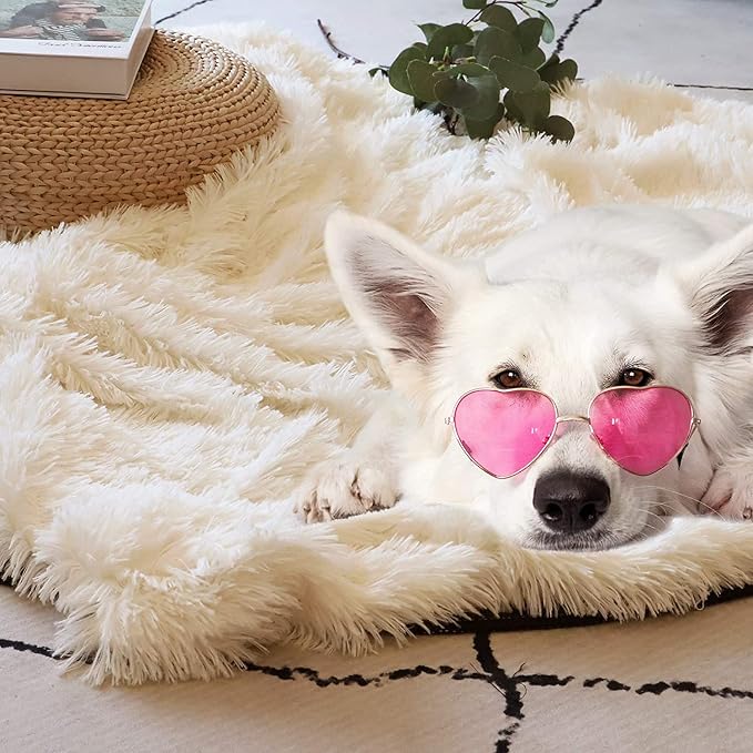 Decorative Extra Soft Fuzzy Faux Fur Throw Blanket 50" x 60",Solid Reversible Long Hair Shaggy Blanket,Fluffy Cozy Plush Comfy Microfiber Fleece Blankets for Couch Sofa Bedroom,Cream White
