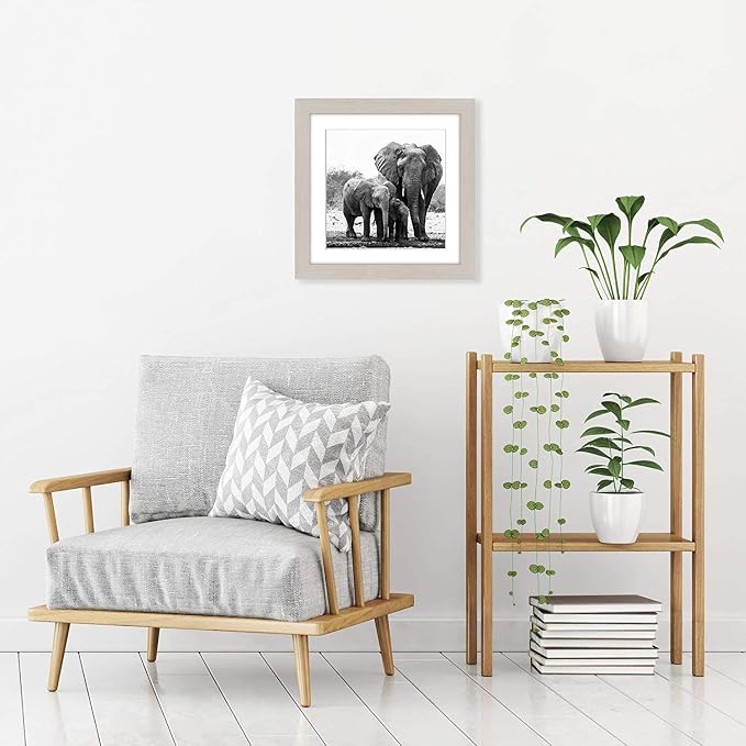Americanflat 11x11 Picture Frame with Shatter-Resistant Glass - Use as 8x8 Frame with Mat or Display 11x11 Photo Without Mat - Signature Collection - Square Frames for Wall Display - Light Wood | Shatter-resistant glass, sawtooth hangers included, fits...