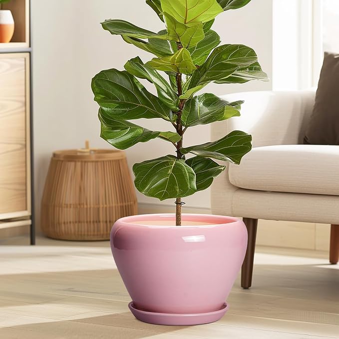 Ceramicfor 10 Inch Plant Pot - Ceramic Planter for Indoor Plants, Glaze Modern Round Planter with Drainage Hole and Saucer, Gifts for Plant Lovers, Office Patio Home Room Decor, Pink
