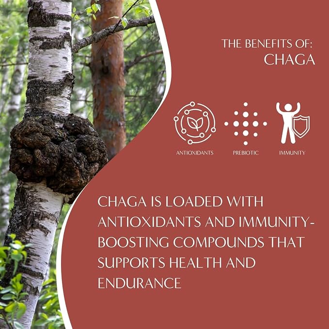 Teeccino Chaga Ashwagandha Tea - Butterscotch Cream - 10 TeaBags - Organic Mushroom Adaptogenic Herbal Tea, 3x More Herbs than Regular Tea Bags, Prebiotic, Caffeine Free, Gluten Free