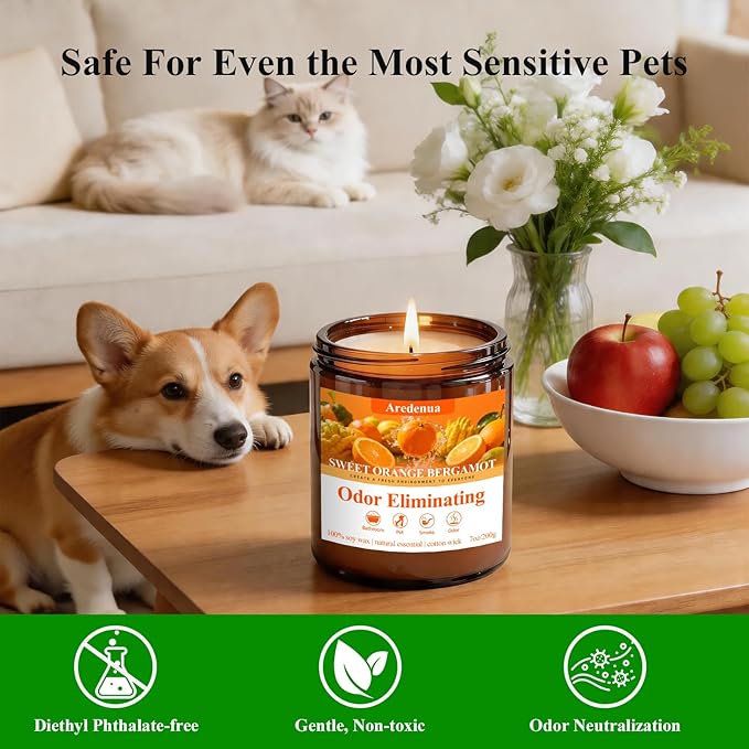 Sweet Orange Bergamot Odor Eliminating Candles | Eliminates 95% of Pet, Smoke, Food, and Other Smells Quickly | 7oz Soy Candle for Home Scented | Air Freshening Scented Candle for Positive & Relax