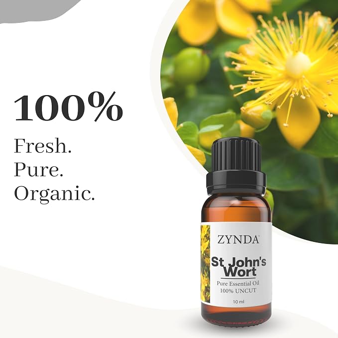 St. John’s Wort Essential Oil – 100% Pure & Natural Aromatherapy Oil | Calming & Relaxing Herbal Extract | Organic Mood Support Essential Oils for Balance & Wellness – 10ml