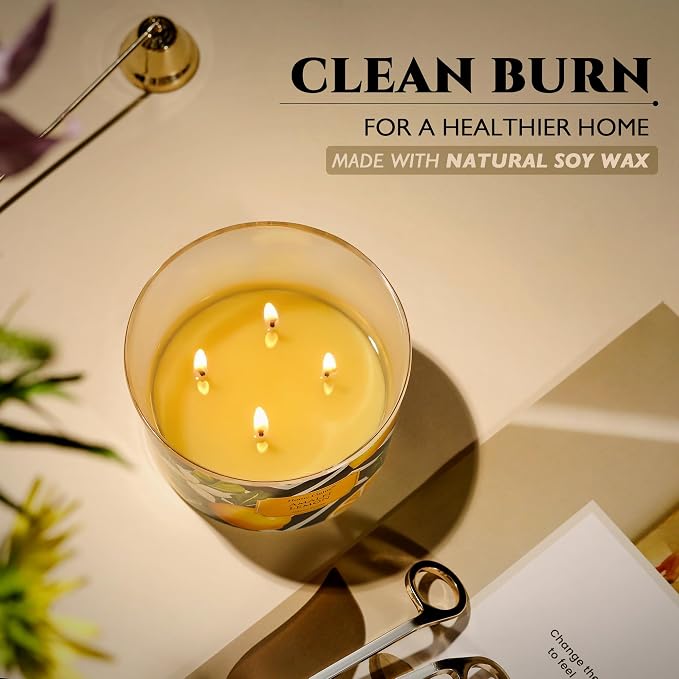 HomeLights Large jar Candle | 4-Wick Long-Lasting Scented Candles, 18oz Natural Soy Wax Candle for Home Scented, Eclectic Mixed Styles Gifts for Women & Men, Amalfi Lemon
