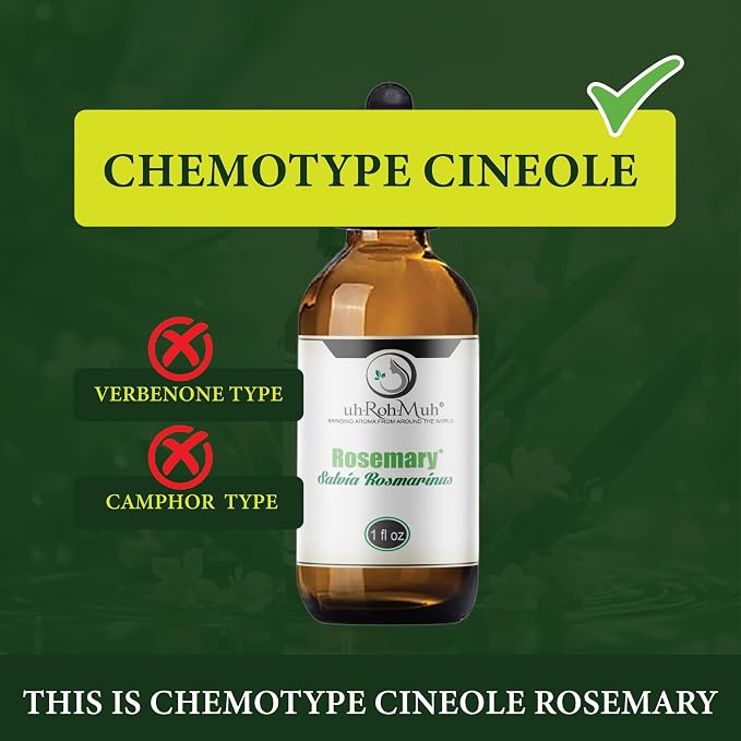 Organic Rosemary Essential Oil Chemotype Cineole | 100% Pure Steam Distilled Rosemary Oil | Fresh Herbaceous Aroma for Diffuser Aromatherapy, Massage Blends & DIY Recipes | Spain – 5ml