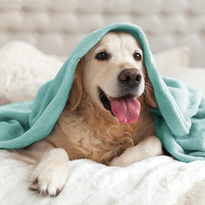 BEDELITE Fleece Blanket Soft Plush Twin Size Blanket Haze Blue 60"x80" | Ultra Soft Fleece, Plush Microfiber, Lightweight Warmth, All Season Comfort, Fade Resistant, Machine Washable, Couch Sofa Bed